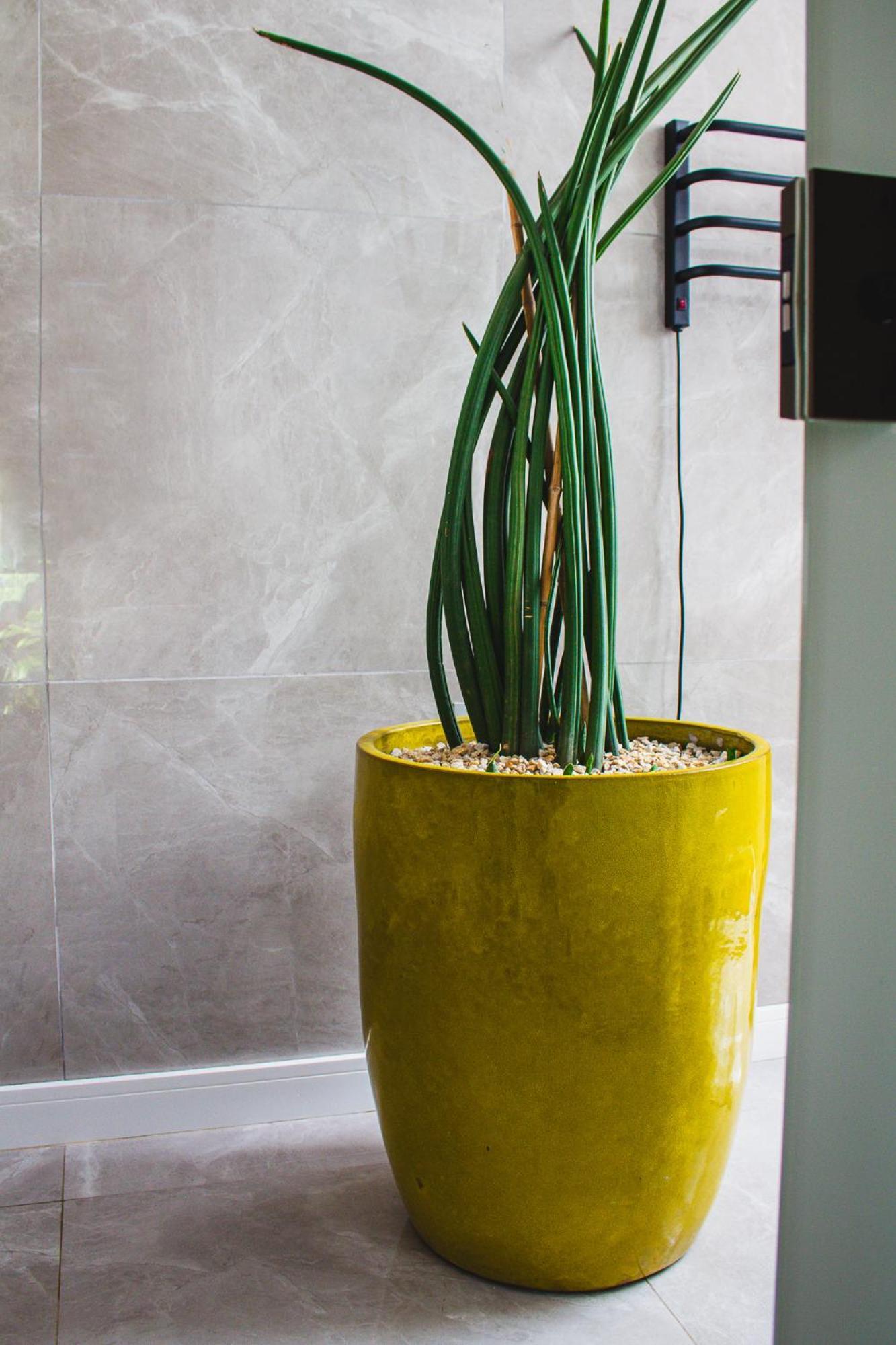 Quinta Da Bocaina Villa Amparo  Ngoại thất bức ảnh